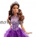 Barbie Collector Quinceanera Doll   556736277